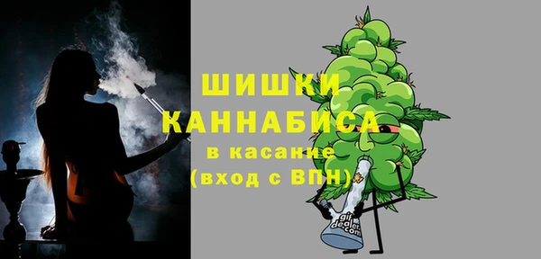 прущие грибы Белокуриха