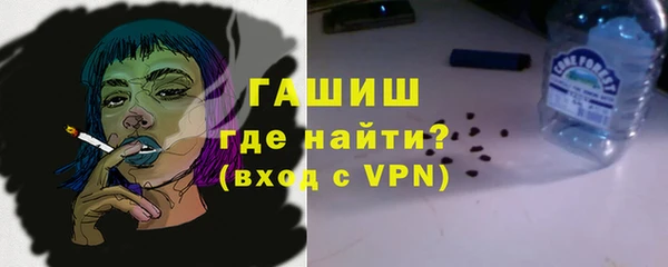 прущие грибы Белокуриха