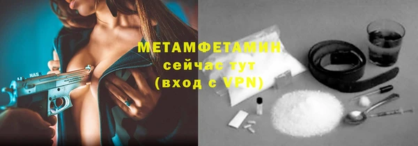 прущие грибы Белокуриха