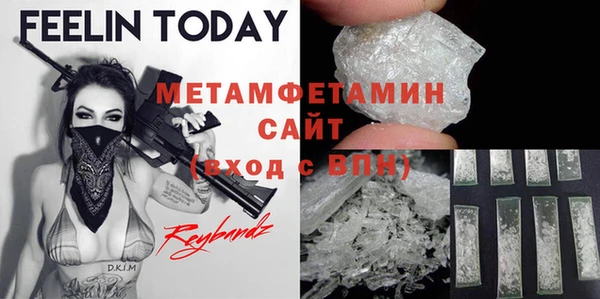 прущие грибы Белокуриха