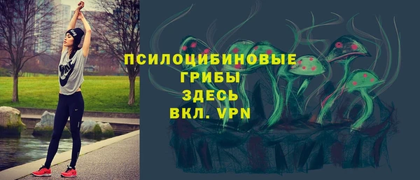 прущие грибы Белокуриха