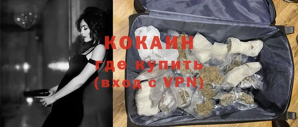прущие грибы Белокуриха