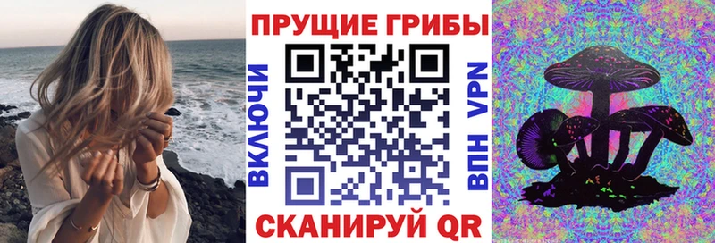 ссылка на мегу онион  Судогда  Галлюциногенные грибы Magic Shrooms 